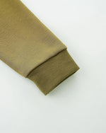 Toddler Boy Dinosaur Zip Hoodie