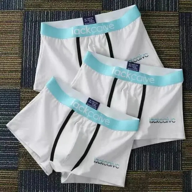 3Pcs Male Panties Cotton Men's Underwear Boxers Breathable  M-3XL