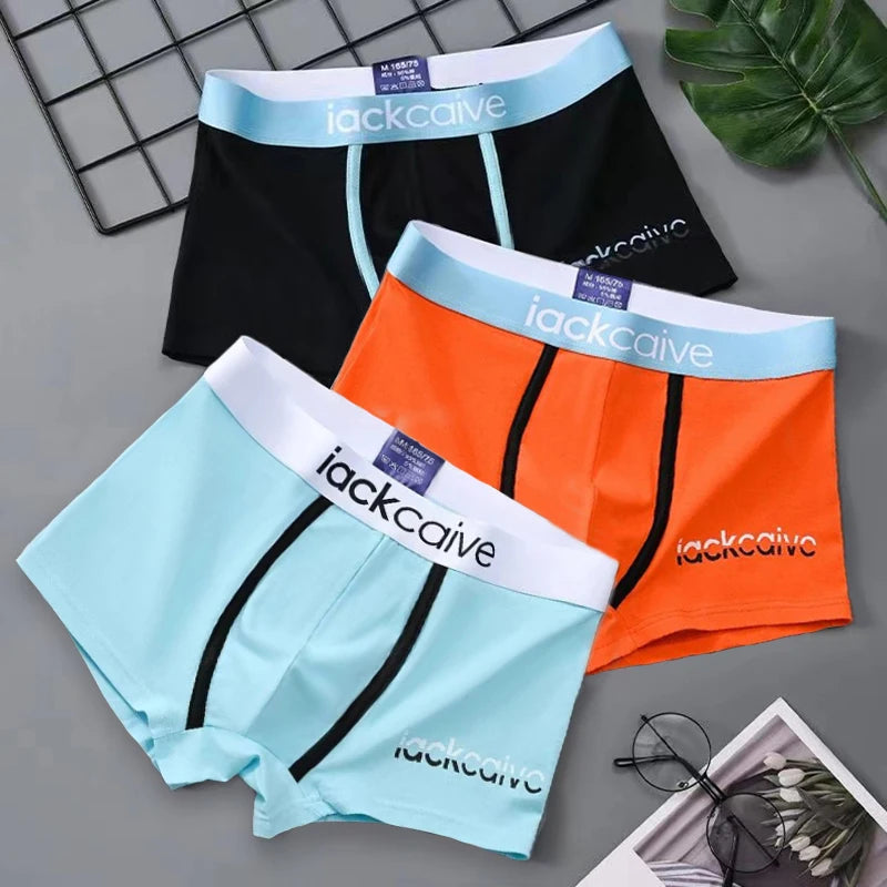 3Pcs Male Panties Cotton Men's Underwear Boxers Breathable  M-3XL